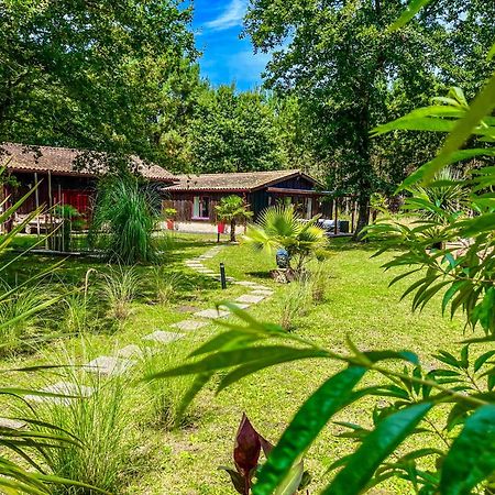 Hacienda De La Canopee Avec Piscine Chauffee Au Sel Уртен Экстерьер фото