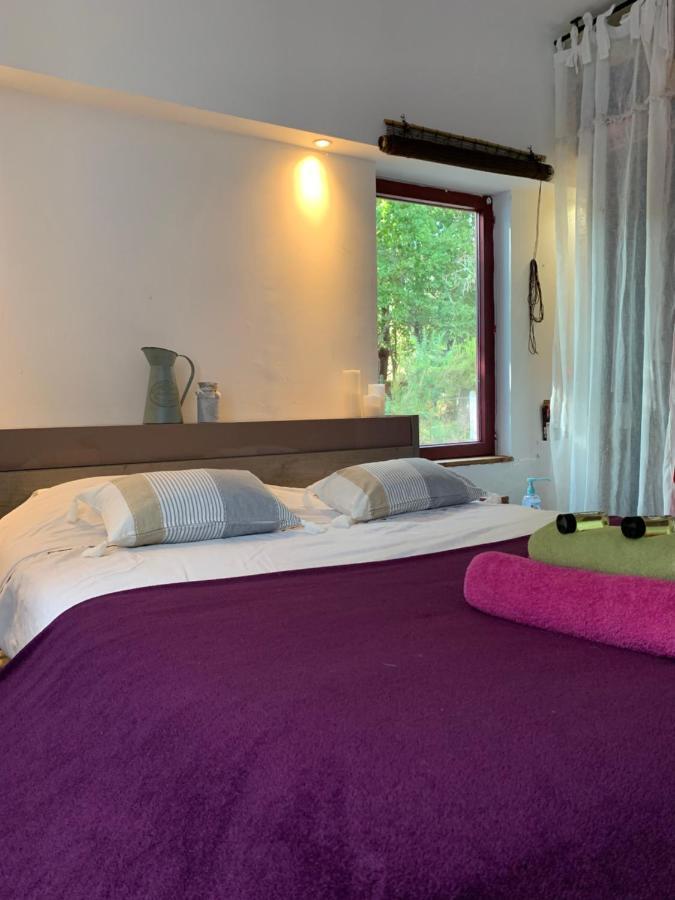 Hacienda De La Canopee Avec Piscine Chauffee Au Sel Уртен Экстерьер фото
